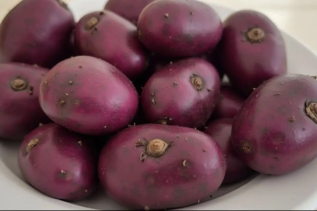 Close-up of a bowl filled with vibrant purple potatoes.